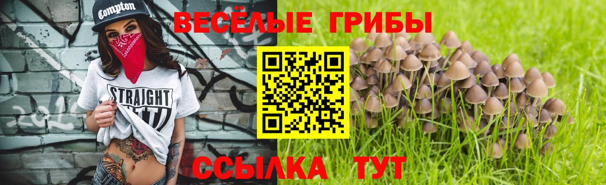 Галлюциногенные грибы Psilocybine cubensis  Вход с VPN  Псилоцибиновые грибы прущие грибы  Елец 